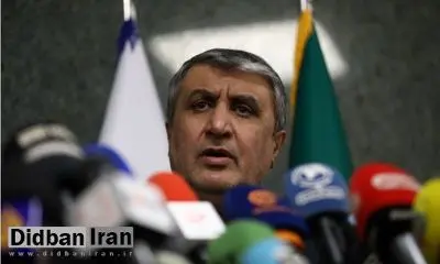 رئیس سازمان انرژی اتمی: برنامه هسته‌ای ایران ادامه خواهد یافت / حملات آمریکا نتوانست زیرساخت‌های هسته‌ای ایران را فلج کند