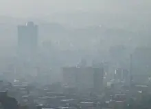 مدارس ابتدایی لامرد غیرحضوری شد