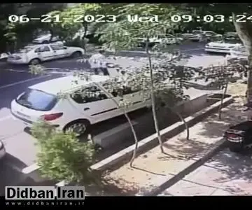 سرقت گوشی موبایل در خیابان شیراز جنوبی تهران+فیلم