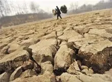 یزدی‌ها مجبور به مهاجرت می‌شوند؟