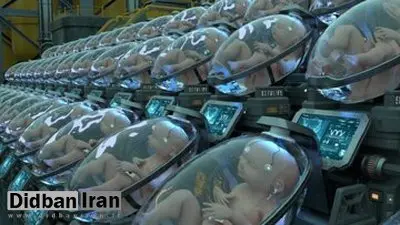 ببینید:پشت پرده ویدیوی جنجالی «مزرعه نوزاد انسان»!+فیلم 