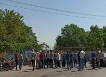 شهرداری مشهد  ۱۰۰۰ درخت را قتل عام کرد