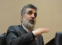 سخنگوی سازمان انرژی اتمی دچار حادثه شد/ مچ پا و سر وی دچار شکستگی شده است