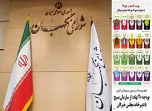 تشریح جزییات بودجه ۲۰ نهاد در سال آینده/ شورای نگهبان سال آینده 142 میلیارد تومان بودجه دریافت میکند
