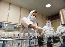 صادرات الکل ممنوع شد
