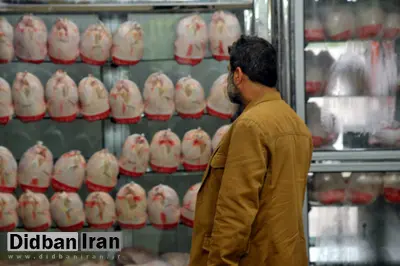 کمبود مرغ و افزایش سرسام آور قیمت آن در مشهد/ یک کیلو سینه مرغ ۶۵ هزار تومان