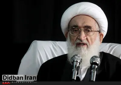 آیت‌الله نوری‌ همدانی: تصویب کنوانسیون پالرمو به صلاح کشور نیست