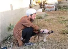 حجت‌الاسلام نظافتی: چرا برخی افراطیون مذهبی نمی‌خواهند قبول کنند که همه موجودات زنده مثل سگ‌ها هم حق حیات دارند؟ / سگ ولگرد یعنی چه؟ یعنی انسان هم اگر کسی را نداشت باید «ولگرد» خطابش کنیم/ اسلام می گوید شما حق ندارید به صورت یک سگ حتی سیلی بزنید