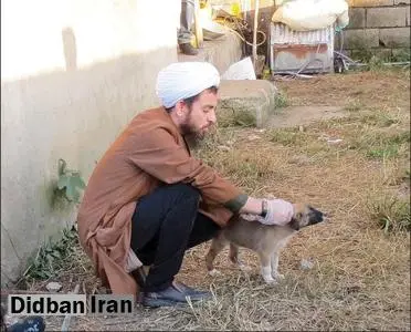 حجتالاسلام نظافتی: چرا برخی افراطیون مذهبی نمیخواهند قبول کنند که همه موجودات زنده مثل سگها هم حق حیات دارند؟ / سگ ولگرد یعنی چه؟ یعنی انسان هم اگر کسی را نداشت باید «ولگرد» خطابش کنیم/ اسلام می گوید شما حق ندارید به صورت یک سگ حتی سیلی بزنید