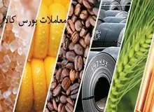 بورس کالا در این هفته؛ به رنگ جوجه یک روزه و بوی زعفران