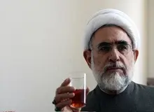 استعفای منتجب‌نیا از قائم‌مقامی حزب «اعتماد ملی»/کروبی تصمیم‌گیری را به شورای مرکزی واگذار کرد 