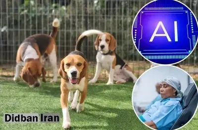 تحقیق جدید: تشخیص سرطان با دقت ۹۴ درصدی با کمک سگها و هوش مصنوعی