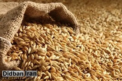 توزیع «جو» رایگان بین دامداران مناطق زلزله زده استان کرمانشاه از امروز آغاز شد