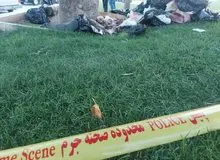 کشف جسد تکه تکه شده زن جوان در میدان آزادی + عکس