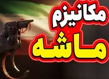 مکانیسم ماشه چیست و چگونه فعال می شود؟