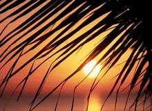 خوزستان ۵۰ درجه‌ای شد