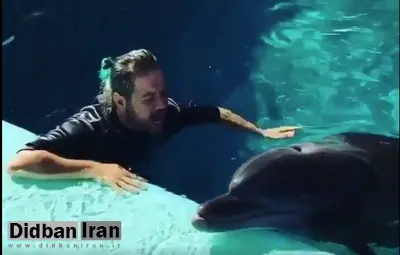 تلاش «علی صادقی» برای تلقید صدای دلفین در آب/ فیلــــــم