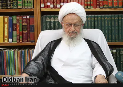 آیت الله مکارم شیرازی: نفوذیها با اختلاسها و سوءاستفادهها یک تشکیلات را بدنام میکنند