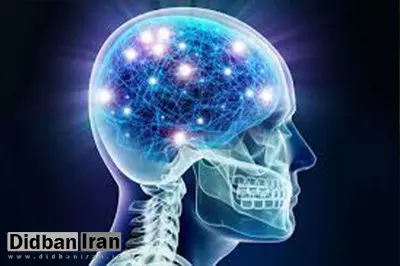 مصرف این غذاها به مغز آسیب می‌رساند