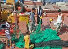 ملوانان بدون بدون بیمه بدون کار 