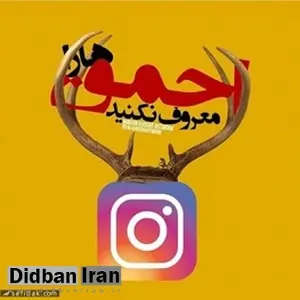 #احمق_ها_ را_معروف_نکنیم/ کمپینی که باید در فضای مجازی جدی گرفت