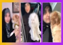 انتقاد استاد حوزه علمیه از افزایش زنانی با «حجاب» از «سگ» نگهداری می کنند/ حجت‌الاسلام ظریفی: تلفیق حجاب و سگ سوخت موتور درآمدزایی  است