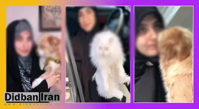 انتقاد استاد حوزه علمیه از افزایش زنانی با «حجاب» از «سگ» نگهداری می کنند/ حجت‌الاسلام ظریفی: تلفیق حجاب و سگ سوخت موتور درآمدزایی  است