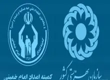 اعتبار کمیته امداد و سازمان بهزیستی در بودجه 97 در کمیسیون اجتماعی مجلس بررسی شد