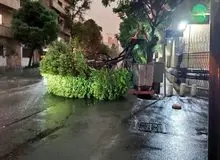 اورژانس: از هفتم تا پانزدهم اردیبهشت، ۸۶ نفر در اثر وزش شدید باد و رعد و برق دچار مصدومیت شده‌اند؛ از این تعداد ۹ نفر فوت کرده‌اند