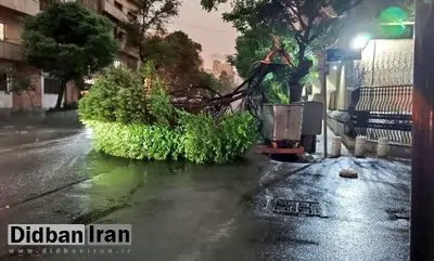 اورژانس: از هفتم تا پانزدهم اردیبهشت، ۸۶ نفر در اثر وزش شدید باد و رعد و برق دچار مصدومیت شدهاند؛ از این تعداد ۹ نفر فوت کردهاند