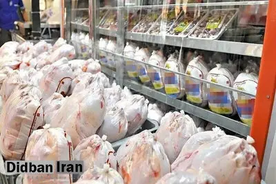 مرغ و تخم‌مرغ گران‌تر می‌شوند؟