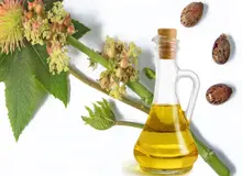 گیاهان دارویی مفید در سلولیت