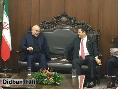 تاکید قالیباف بر لزوم فعالسازی کمیسیون مشترک اقتصادی ایران و برزیل
