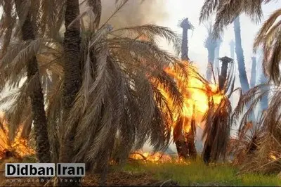 آتش‌سوزی در اروندکنار/ ۲۰ هزار نهال خرما از بین رفت