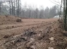 توضیحات جدید سازمان منابع طبیعی درباره قطع درختان در الیمالات مازندران: به جای این ۳۰ درخت، سرمایه‌گذار متعهد به کاشت ۵ هزار درخت جایگزین شد/ سرمایه‌گذار طرح، تاکنون در عرصه‌های جنگلی تجربه سرمایه‌گذاری نداشته