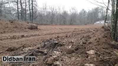 توضیحات جدید سازمان منابع طبیعی درباره قطع درختان در الیمالات مازندران: به جای این ۳۰ درخت، سرمایه‌گذار متعهد به کاشت ۵ هزار درخت جایگزین شد/ سرمایه‌گذار طرح، تاکنون در عرصه‌های جنگلی تجربه سرمایه‌گذاری نداشته