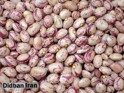 قیمت لوبیاچیتی تا ۵۰۰ هزار تومان بالا رفت + فیلم