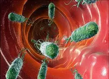 نابودی باکتری‌ها بدون استفاده از آنتی بیوتیک