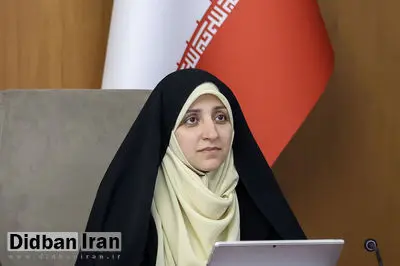 معاون امور زنان: امیدواریم مجلس در تصویب لایحه حمایت از زنان همکاری کند