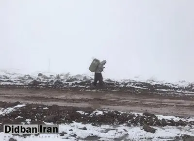 کولبران بیمه تأمین اجتماعی می‌شوند

