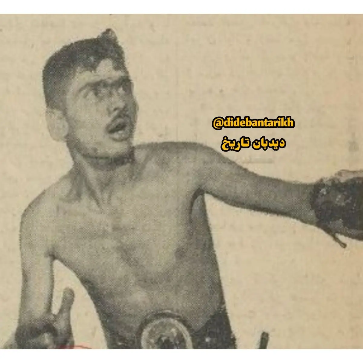 تارزان ایرانی بازداشت شد