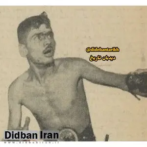 تارزان ایرانی بازداشت شد