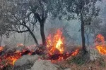 استاندار: ۵ نقطه از عرصه‌های جنگلی شمال در ۲۴ ساعت اخیر درگیر آتش‌سوزی بود