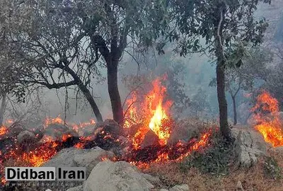 استاندار: ۵ نقطه از عرصه‌های جنگلی شمال در ۲۴ ساعت اخیر درگیر آتش‌سوزی بود