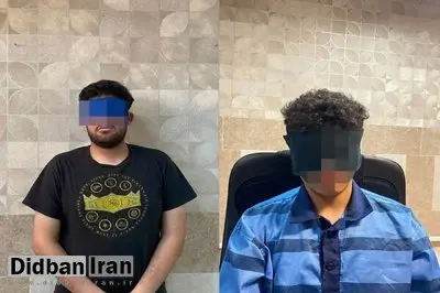 متهمان قتل دانشجوی دانشگاه تهران مرتکب ۴۰ فقره سرقت شده بودند