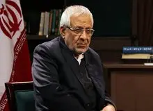 توصیه بادامچیان به رییس جمهور فرانسه: آقای مکرون! شما را به اصول دموکراسی دعوت می‌کنم