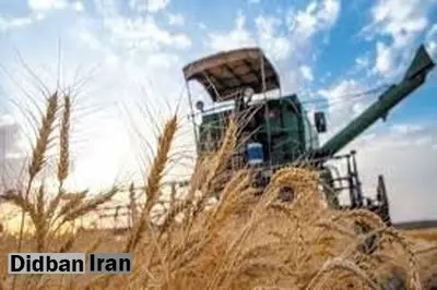 کرونا چقدر آسیب به بخش کشاورزی وارد کرد؟