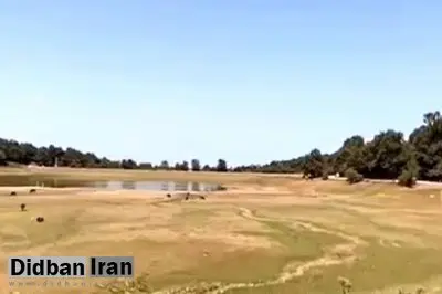 بی آبی دامن رشت را هم گرفت/ کاهش ۷۰درصدی باران در تابستان امسال