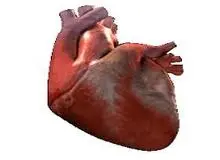 سلامت قلب تان را در 60 ثانیه امتحان کنید!