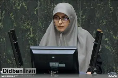 تعیین تکلیف لایحه تامین امنیت مستلزم نظر آیت الله آملی لاریجانی